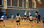 Volleyball Photo