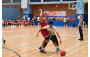 Basketball Photo