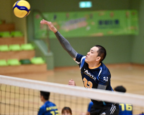 Volleyball Photo