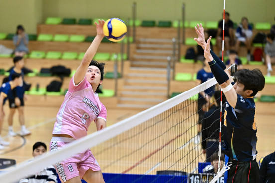 Volleyball Photo