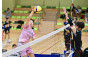 Volleyball Photo