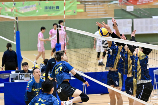 Volleyball Photo