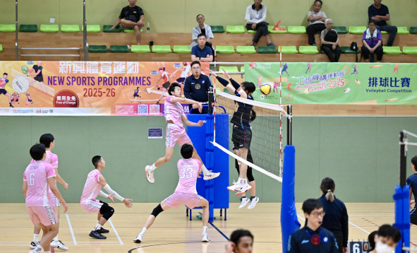 Volleyball Photo