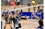 Volleyball Photo
