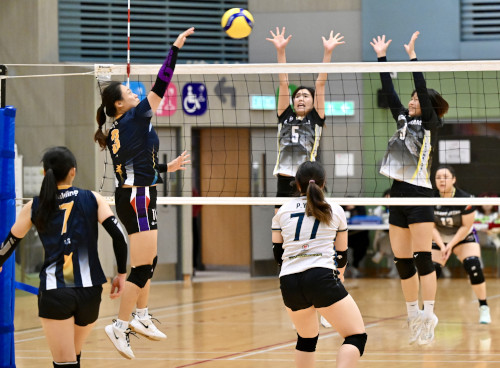 Volleyball Photo