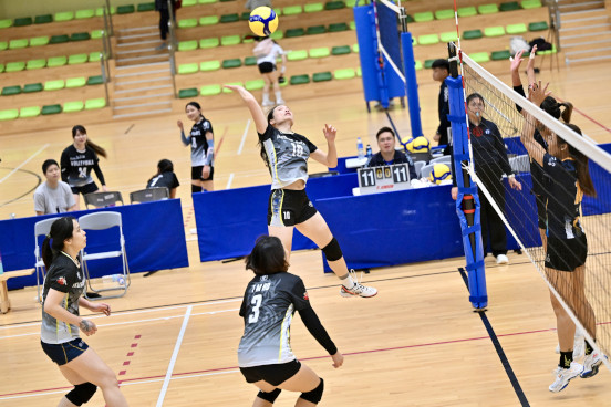 Volleyball Photo