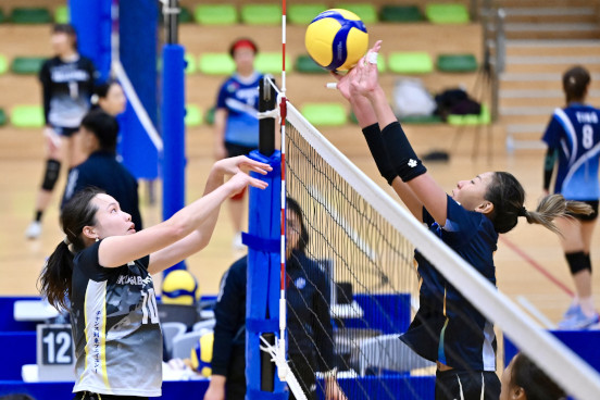 Volleyball Photo