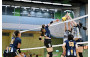 Volleyball Photo