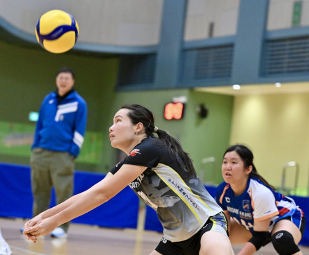Volleyball Photo