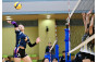 Volleyball Photo