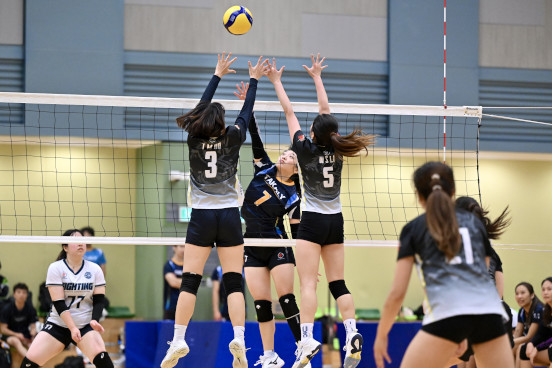 Volleyball Photo