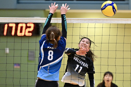 Volleyball Photo