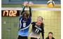 Volleyball Photo