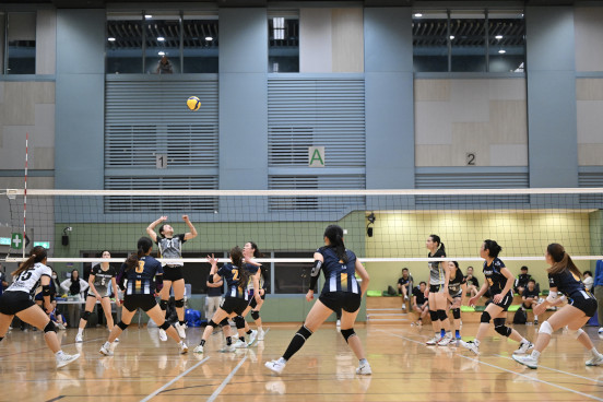 Volleyball Photo