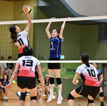 Volleyball Photo