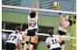 Volleyball Photo