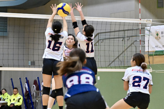 Volleyball Photo